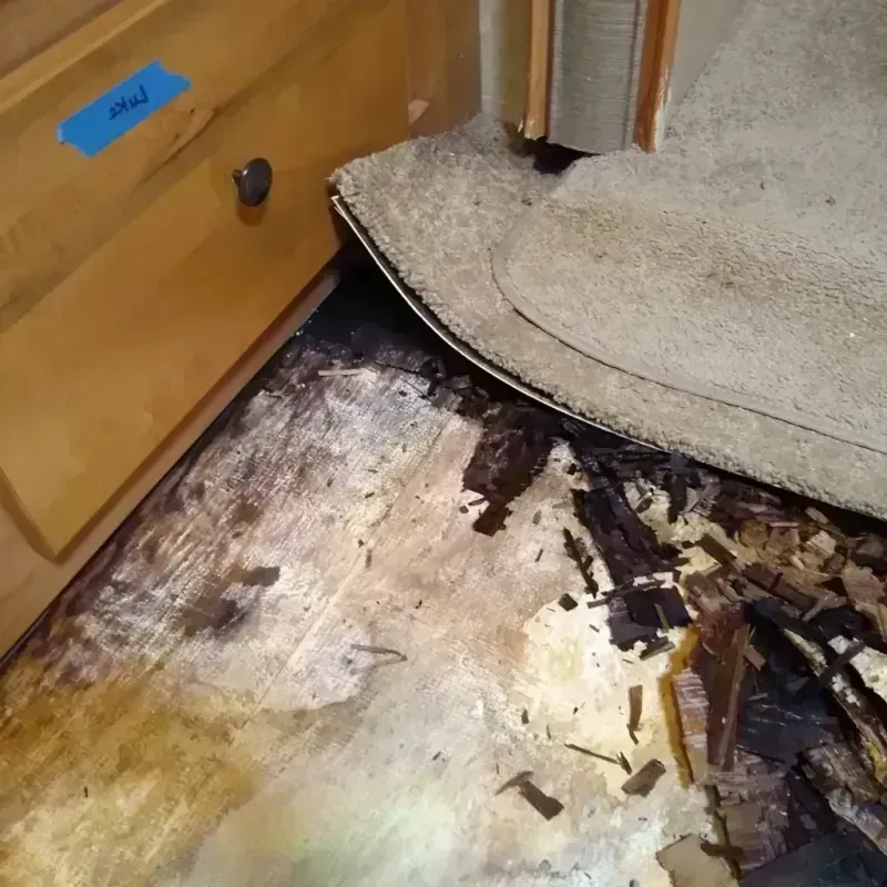 Wood Floor Water Damage in San Leandro, CA